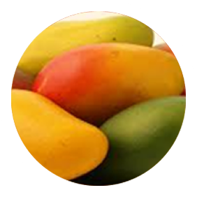 Mangoes Global Fruits and Flowers