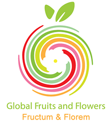 Logotipo Global Fruits and Flowers